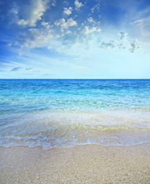 Coastal Zone Management Act, Specialty Produce Foragers and In-Car Pollution